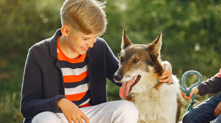 Helping Your Rescue Pet Adjust