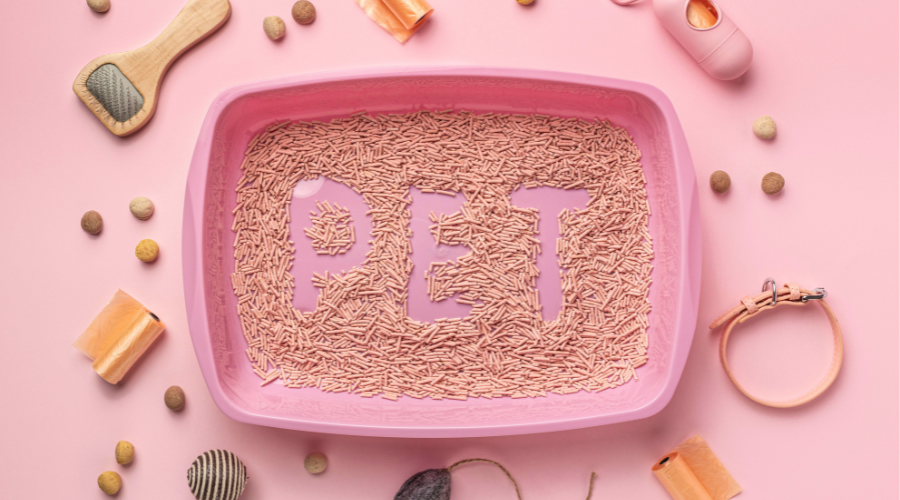 How to Choose the Right Box for Your Pet