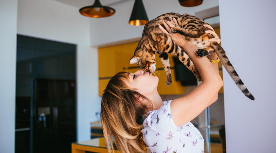 Keep Your Cat Active and Engaged