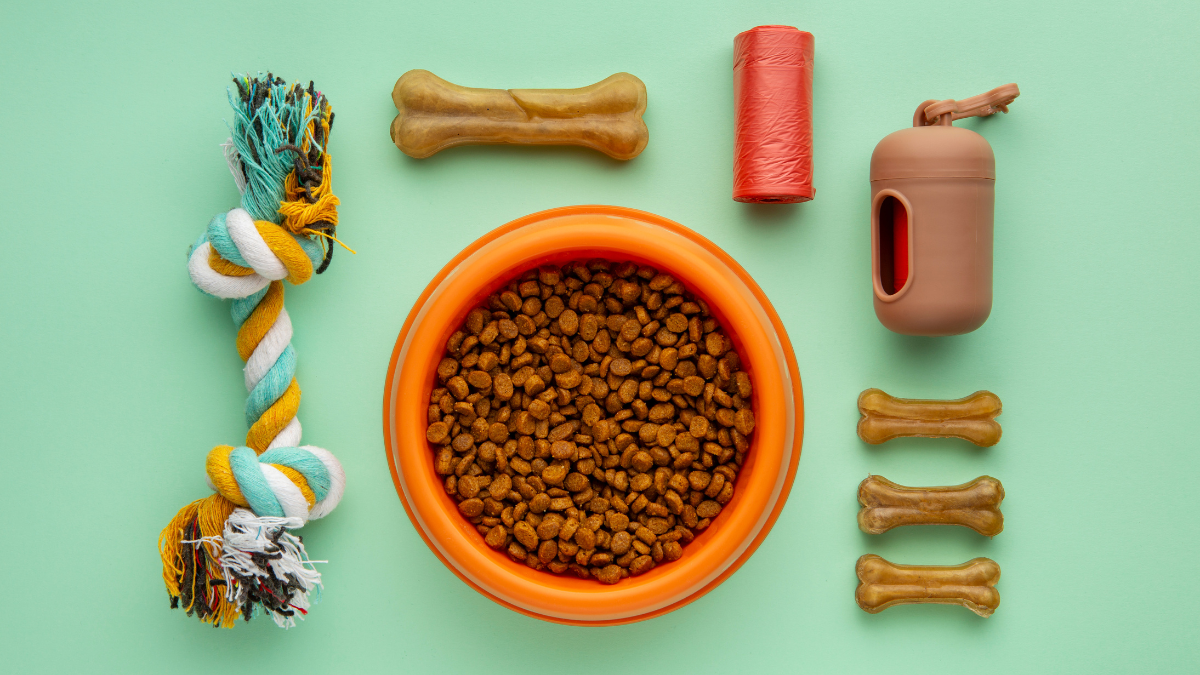 Natural and Organic Pet Products Worth Trying