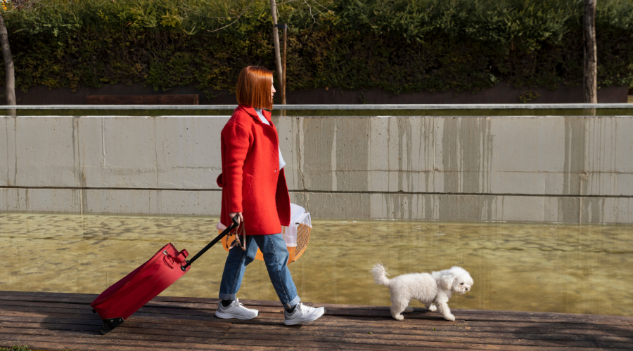 Prepare Your Pet for the Journey