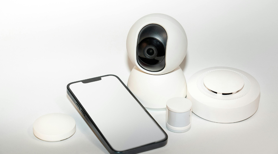 Matching Your Camera to Your Pet’s Needs